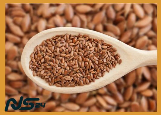 Semillas de Chía: Fibra que Sacieta y Mejora Digestión Intestinal | Semillas de Chía image 72 5 | Semillas de Chía