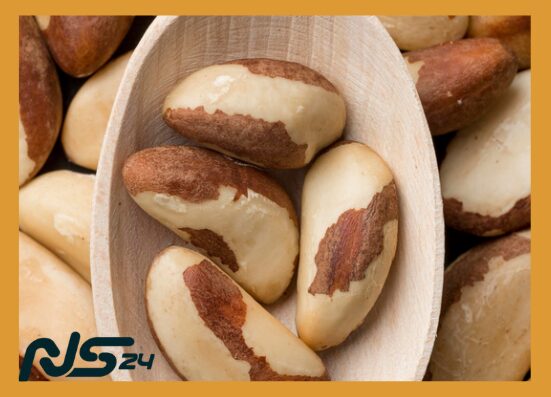 Nuez de Brasil: Selenio para Tiroides Sana y Cabello Fuerte | Nuez de Brasil Nuez de Brasil