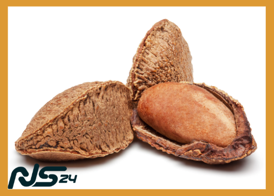 Nuez de Brasil: Selenio para Tiroides Sana y Cabello Fuerte | Nuez de Brasil image 75 | Nuez de Brasil