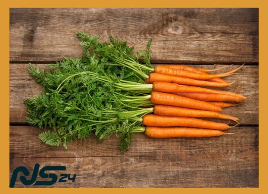 Zanahorias Orgánicas