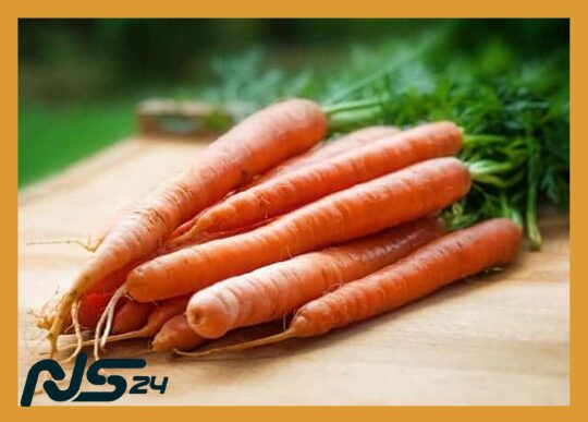 image 76 24 | Zanahorias Orgánicas