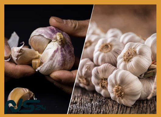 Ajo Crudo Potente: Antibiótico Natural contra Infecciones Comunes | Ajo Crudo Potente image 78 1 | Ajo Crudo Potente