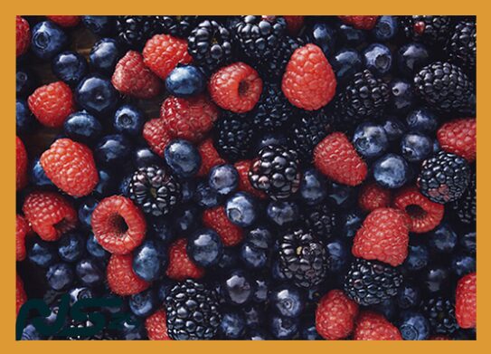 Bayas Silvestres: Antioxidantes que Frenan el Envejecimiento Celular | Bayas Silvestres image 78 14 | Bayas Silvestres