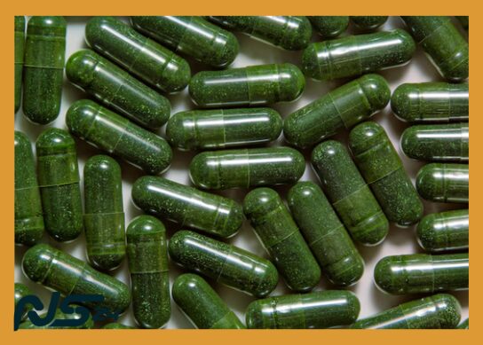 Omega-3 de Algas: Alternativa Vegana para Corazón Sano sin Pescado | Omega-3 de Algas image 80 23 | Omega-3 de Algas