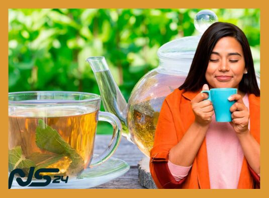 Infusiones de Menta: Alivia Indigestión y Mejora Respiración Diaria | Infusiones de Menta image 80 27 | Infusiones de Menta