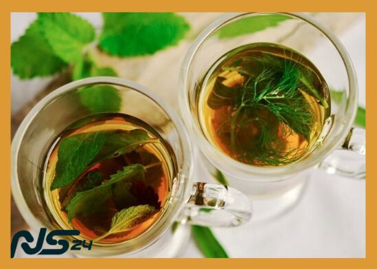 Infusiones de Menta: Alivia Indigestión y Mejora Respiración Diaria | Infusiones de Menta image 80 29 | Infusiones de Menta