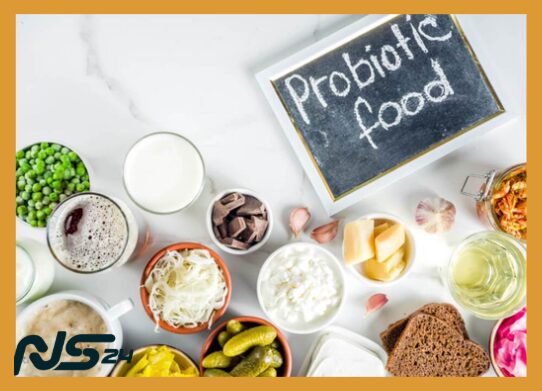 Probióticos Naturales: Yogur Casero para Intestino Saludable Rápido | Probióticos Naturales image 86 1 | Probióticos Naturales