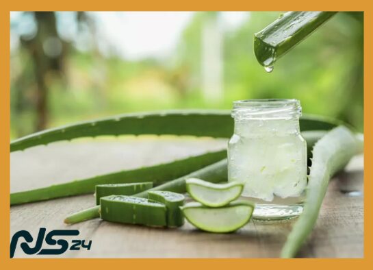 Aloe Vera en Dieta: Digestión Perfecta y Piel Radiante Naturalmente | Aloe Vera en Dieta Aloe Vera en Dieta