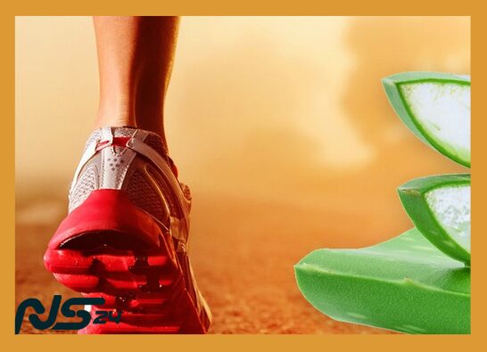 Aloe Vera en Dieta: Digestión Perfecta y Piel Radiante Naturalmente | Aloe Vera en Dieta image 87 17 | Aloe Vera en Dieta