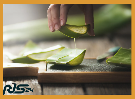 Aloe Vera en Dieta: Digestión Perfecta y Piel Radiante Naturalmente | Aloe Vera en Dieta image 88 | Aloe Vera en Dieta