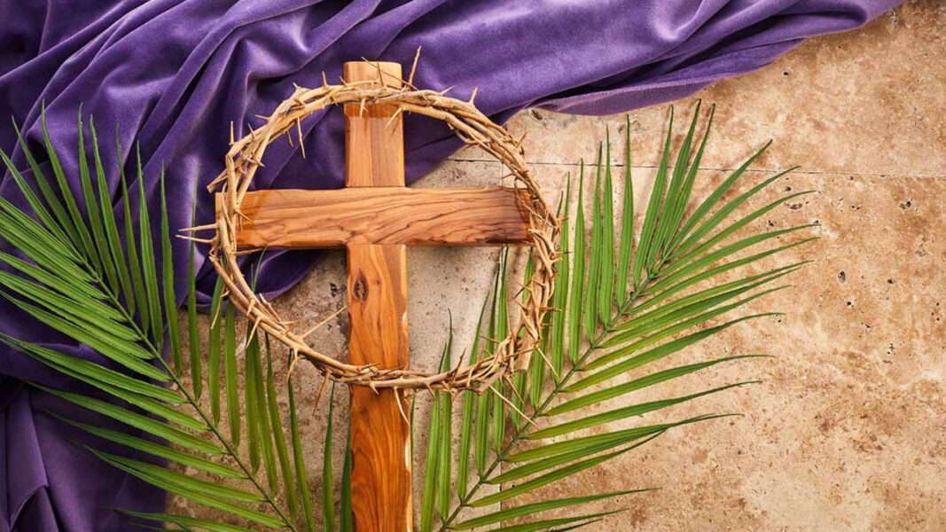 Diseno sin titulo 34 1 |