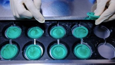 2UNTMVM5RJDGNHQMMQVBNUTTS4 | ciencia