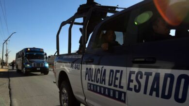 34b7e61799da284a3767a6aef9d5f150 | Chihuahua