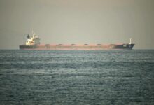 AFP 20260225 98WG8TN v5 MidR | robots