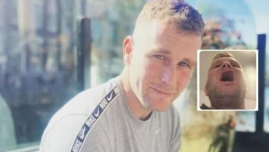 KwNFr14e | Chihuahua