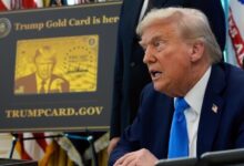 TRUMP GOLD | video viral