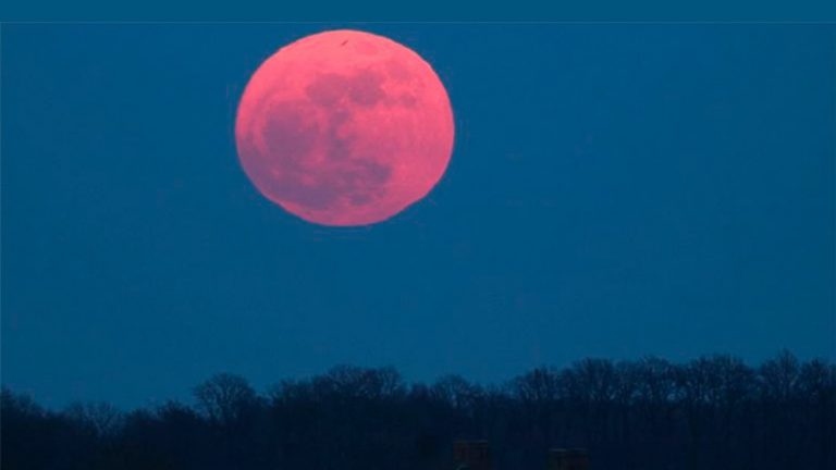 luna rosa 768x432 1 |