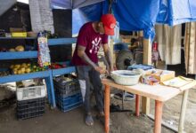 Emprender una via para superar l | Eucalipto en Vapor