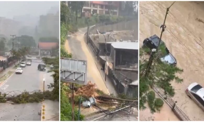 Lluvias Carrizal | Carrizal