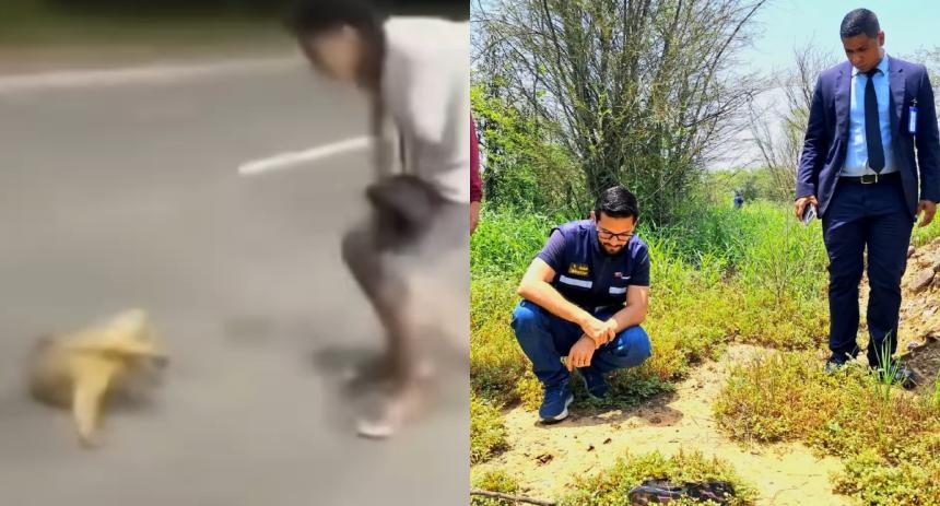 Investigan a motorizados por brutal maltrato contra un oso melero en Barcelona, Anzoátegui | Maltrato animal oso | Maltrato animal