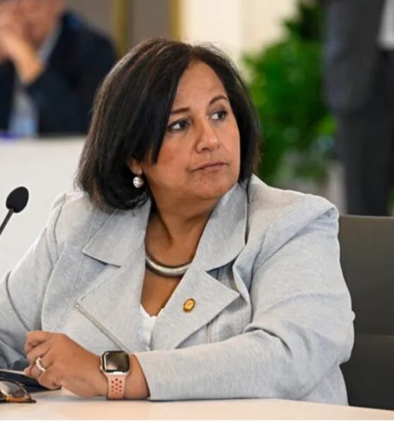 dinorah figuera se compromete a gestionar la lib | macero