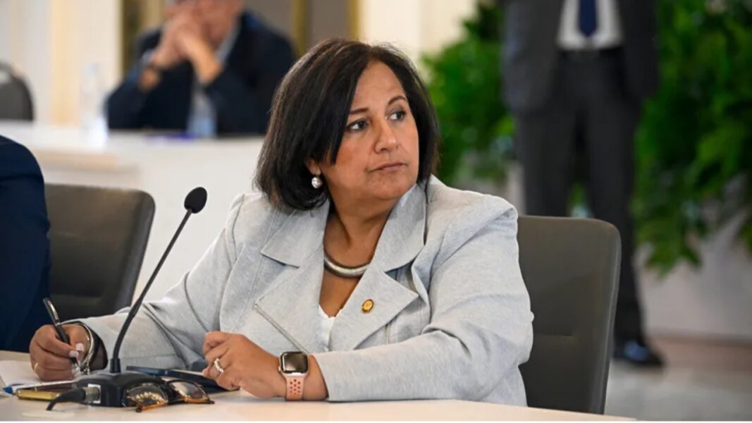 dinorah figuera se compromete a gestionar la lib | figuera