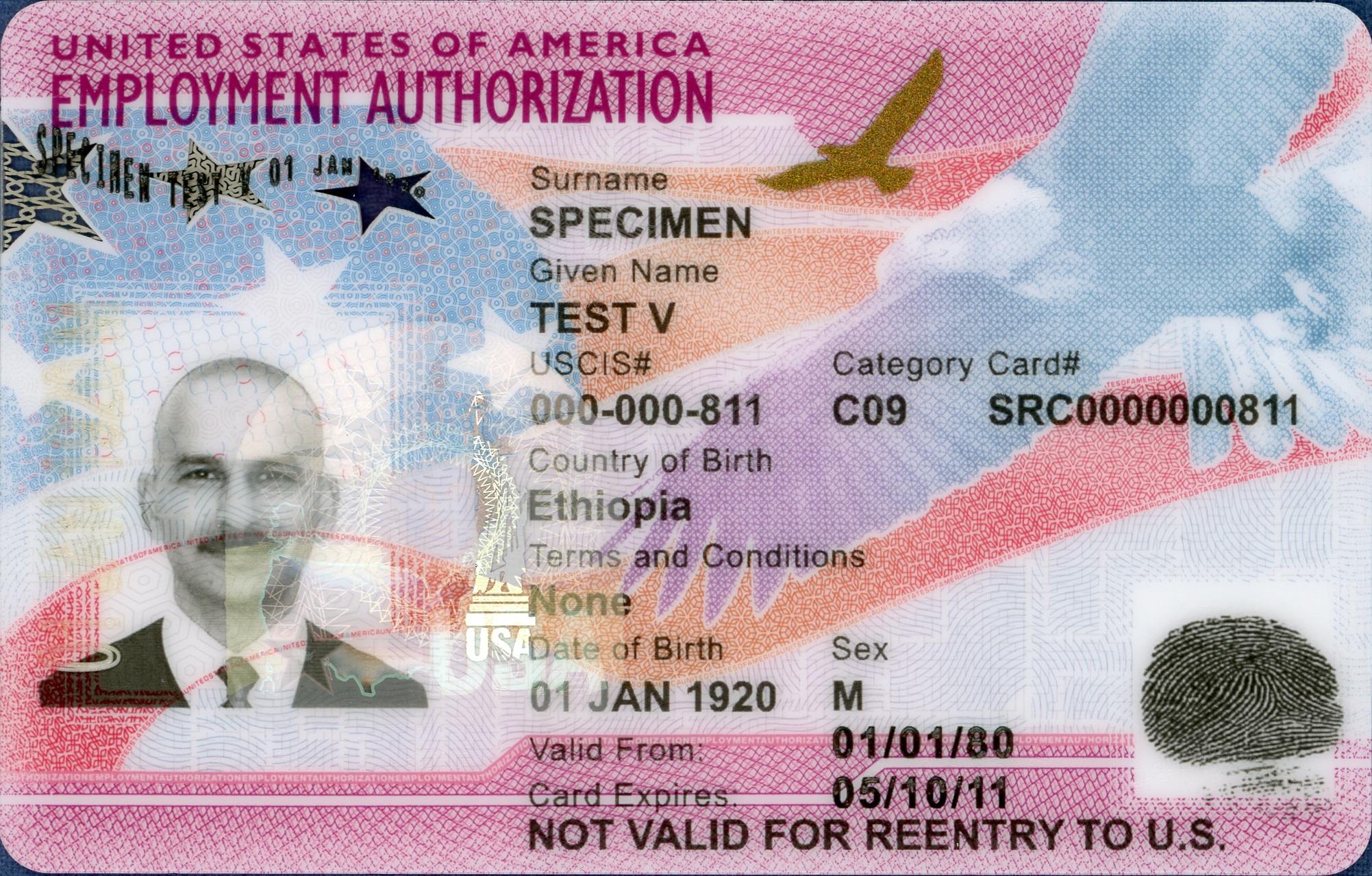 Tarjeta de Autorización de Empleo (EAD) emitida por USCIS para trabajar legalmente en Estados Unidos