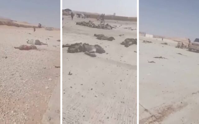 Zelenski califica de grave error las restricciones de Starlink en Ucrania y propone abrirlo en territorio ruso