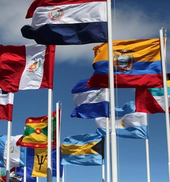 banderas america latina celac cancilleria ecuado | ley contra el odio