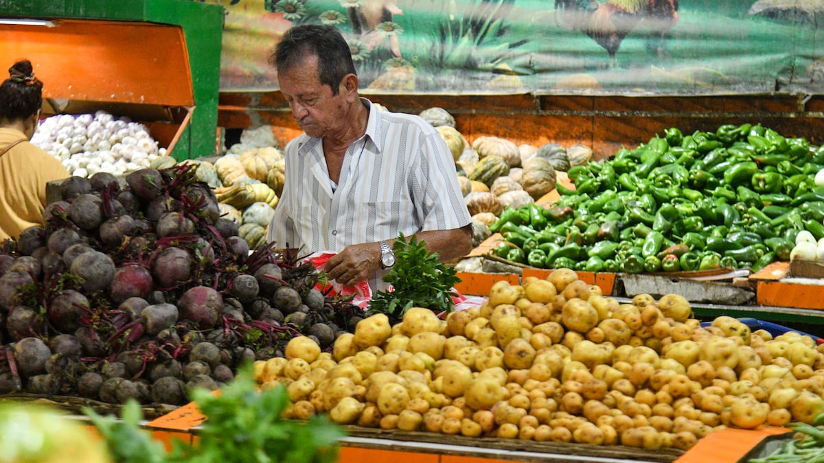 FAO El Niño inseguridad alimentaria en Colombia: 7,9 millones de personas en riesgo en 2027