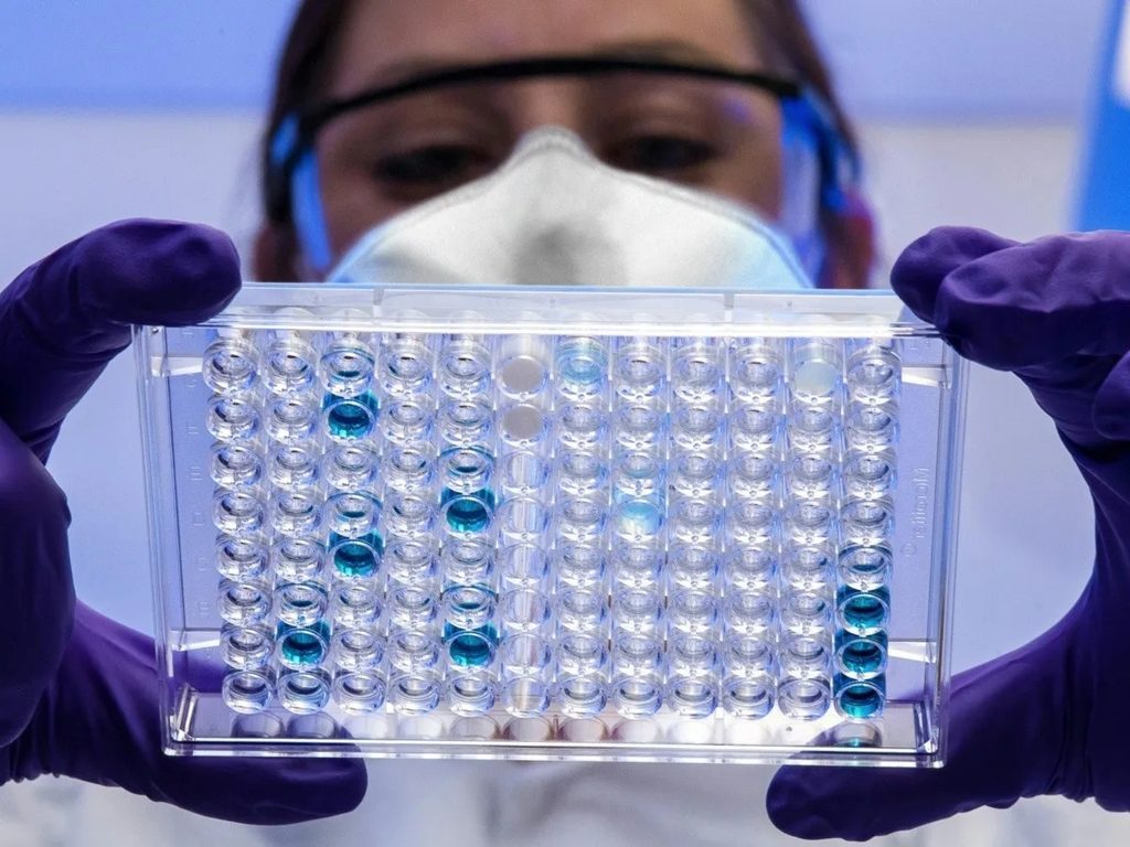 Virus Shamonda: la OMS considera «poco probable» su propagación en humanos