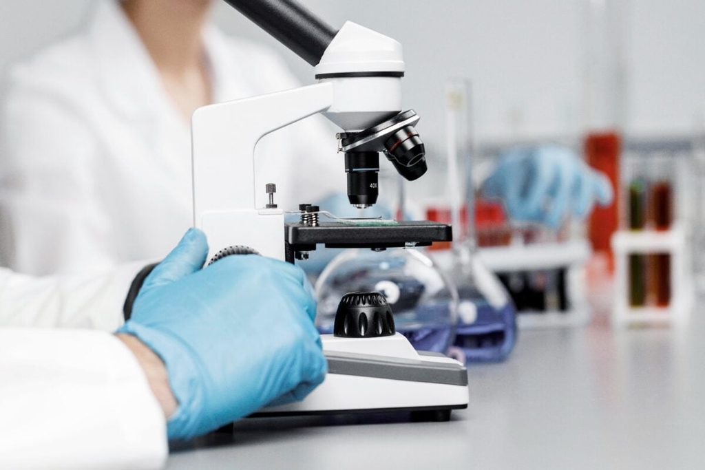 Virus Shamonda: la OMS considera «poco probable» su propagación en humanos