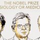 nobel medicina 2026 entera | ley contra el odio